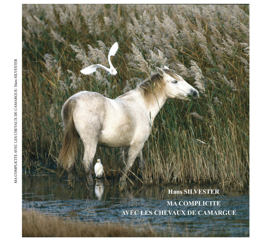 Annonce expo et rencontre de Hans Silvester en Camargue
