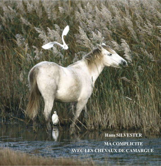 la Camargue, photographe Hans Silvester