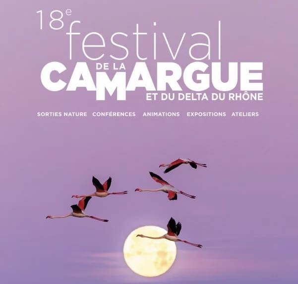 Affiche du festival de la Camargue