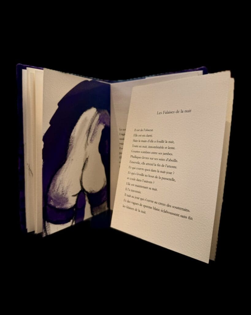 artist's book from Editions du Renard Pale, drawing by Sophie Sainrapt