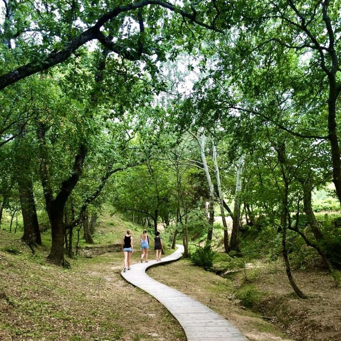 des promeneurs dans une foret en provence