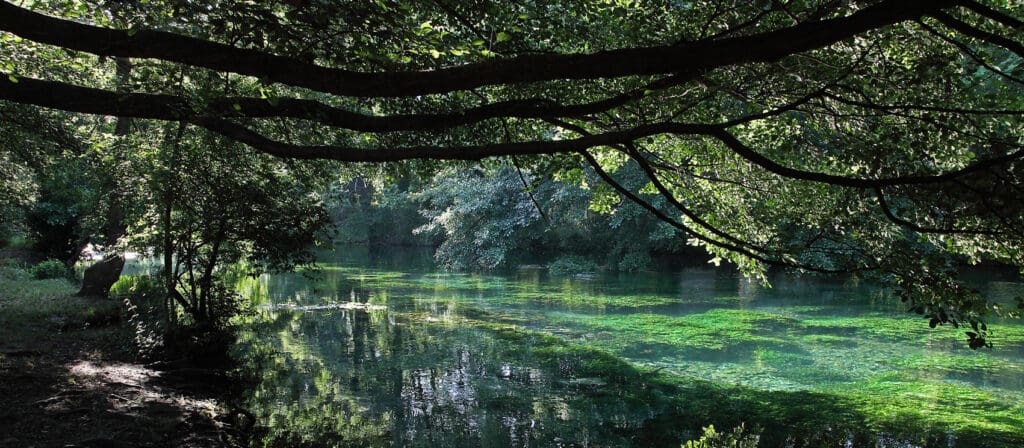 L’Isle-sur-la-Sorgue : où l’art rencontre l’art de vivre