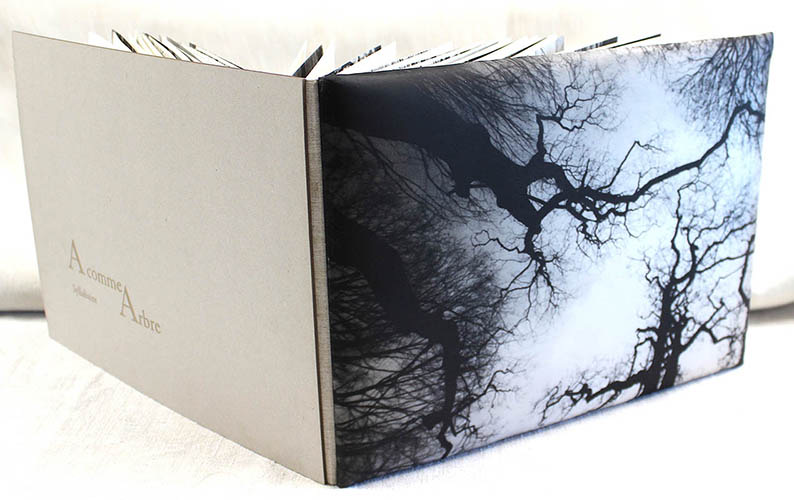 Livre d'artistes avec une reliure en écaille, photographie imprimée sur soie